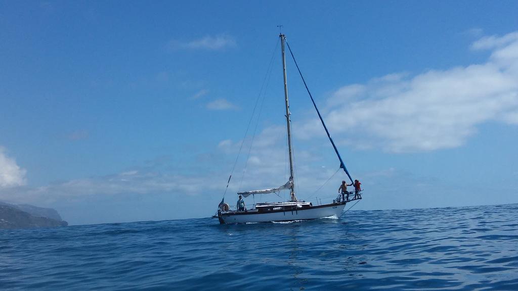ポンタ・ド・ソル Ocean Cliffヴィラ エクステリア 写真